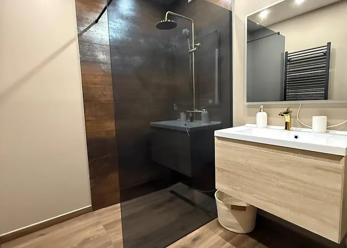 Appartement Recently Renovated Oostende